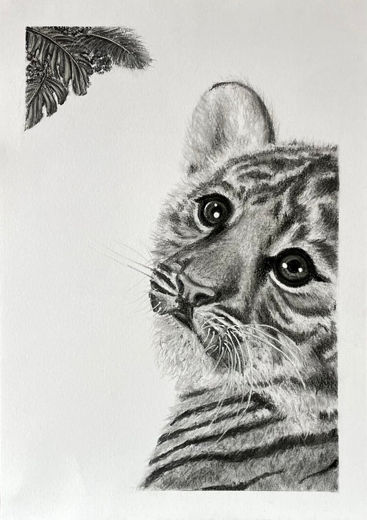 Whiskers and Wonder