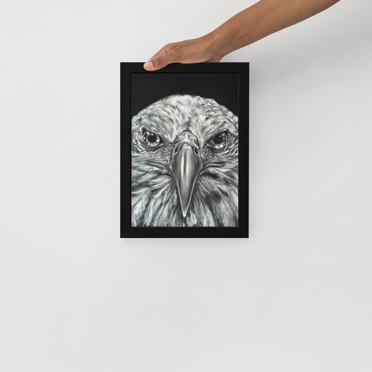 Eagle - Framed Print