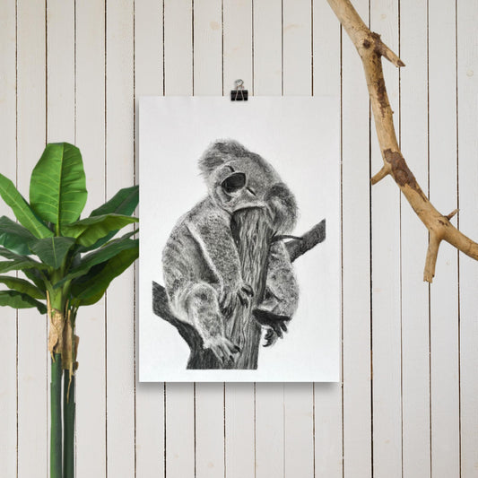 Sleepy Koala print